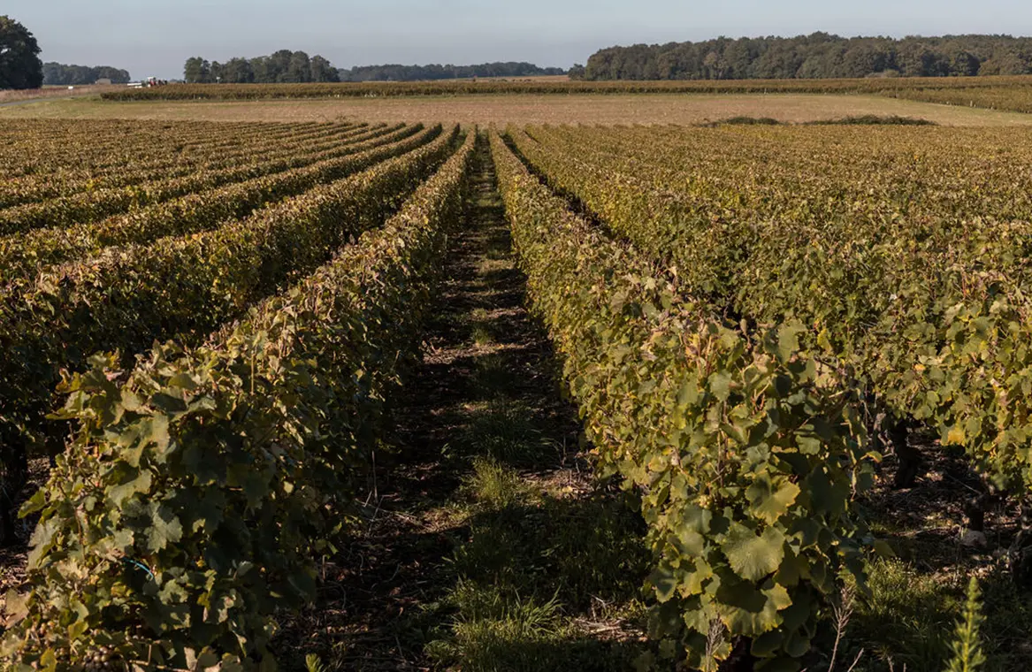 Domaine du Haut Fourneau