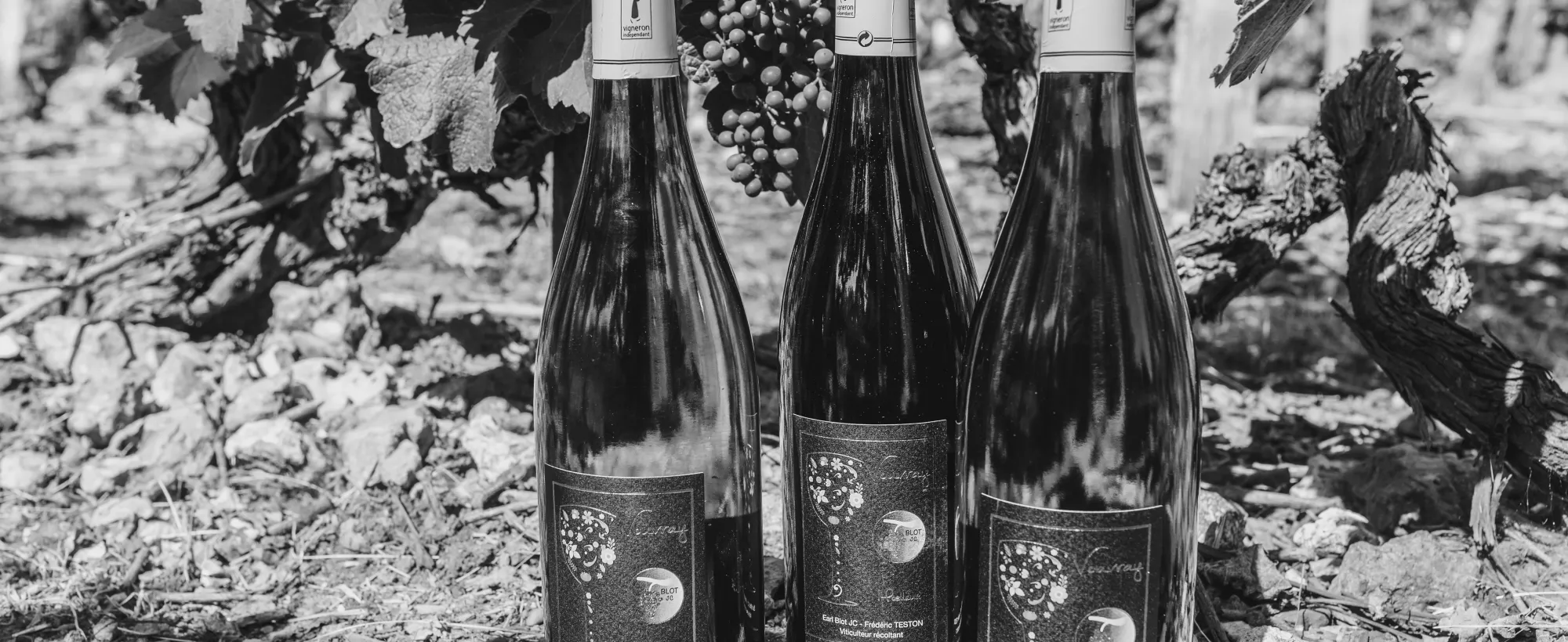 Domaine du Haut Fourneau
